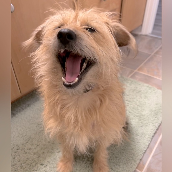 Meet your Posher, Jenny - Picture 5 of 11